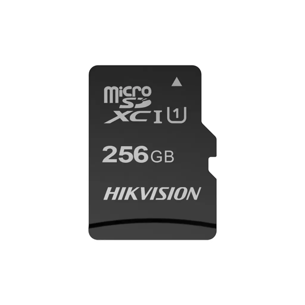 MICRO SDXC 256G